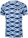 light blue tottenham shirt