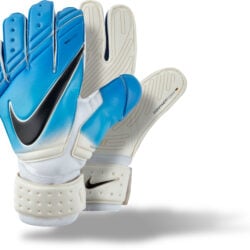 Struikelen bijgeloof Verbieden Nike GK Premier SGT - Nike Soccer Goalkeeper Gloves