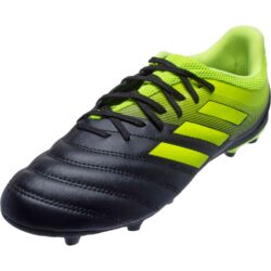 copa 19.3 firm ground cleats